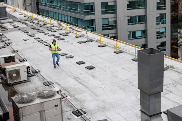 Best Roof Coating and Sealing  in Fenton, MI