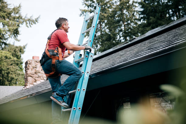 Best Chimney Flashing Repair  in Fenton, MI