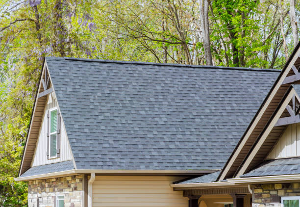 Best Solar Panel Roofing Installation  in Fenton, MI